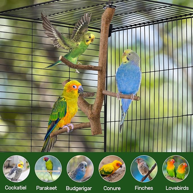 Bird Perch Stand, Natural Vitex Negundo Wood Parrot Perch Bird Cage Branch Perch - Image 2