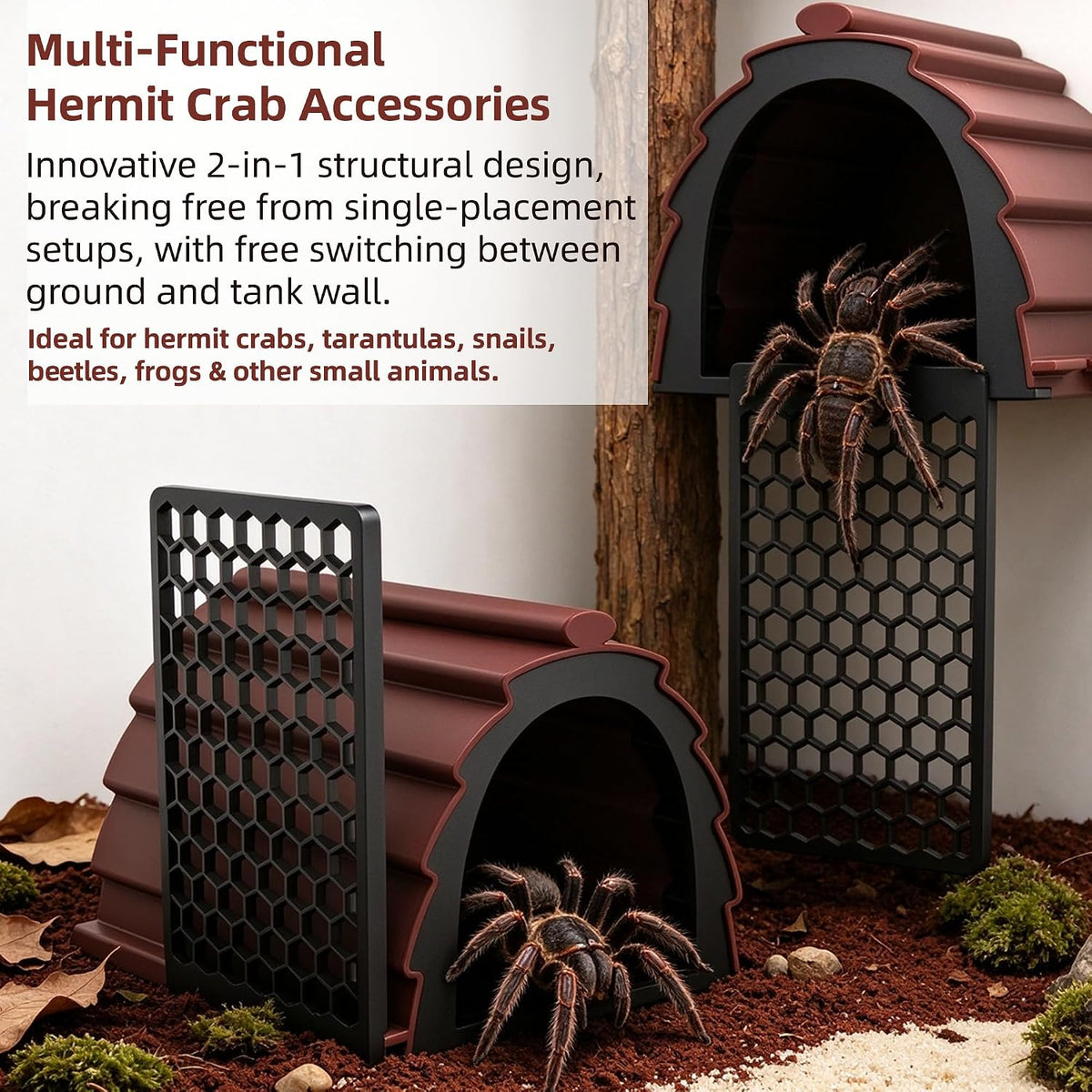 Moisture Resistant Hermit Crab Accessories, Foraging Cave with Ladder