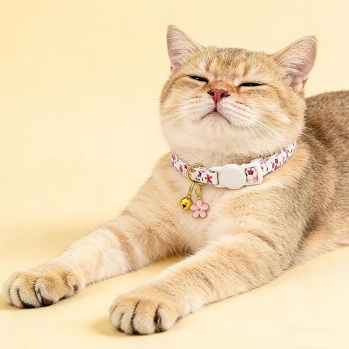 2 Pack Cotton Breakaway Cat Collars Set - Image 5