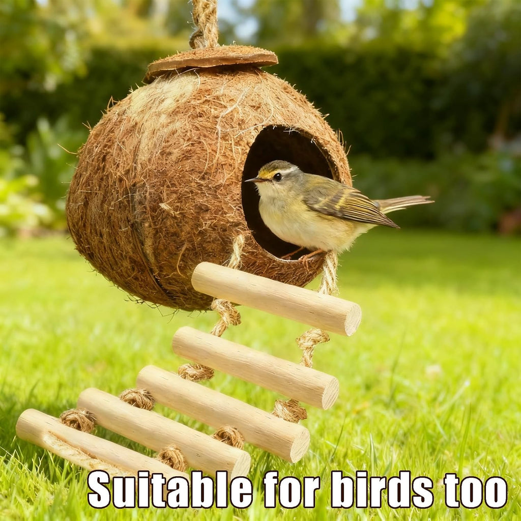 Reptile Tank Accessories Natural Coconut Shell Hideout & Climbing Ladder
