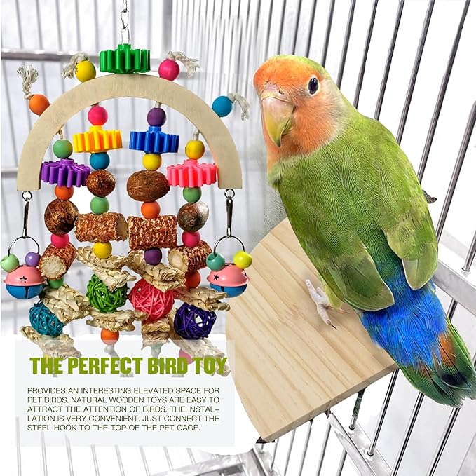 Bird Toys - Natural Corncob Wooden Mango Solid Chew Toys - Image 4