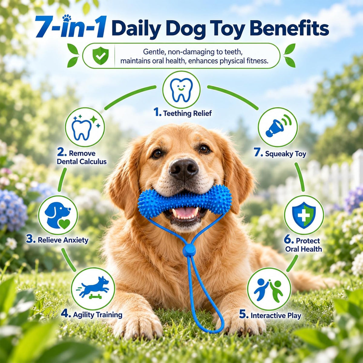 Dual-Action Canine Dental Prop, Dog Dental Chew Toy for Easier Teeth Brushing, Premium Pet Oral Care Accessory，Brushing Toothbrush Tools Care Chew Toys（1PCS）