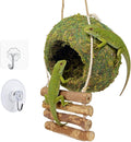 Handmade Moss Reptile Hanging Nest 4 Pcs Set, Large 6″ x 6″