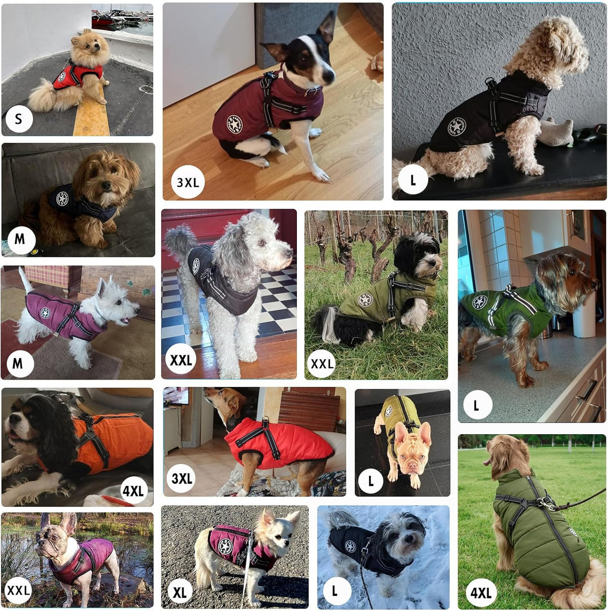 Aiboria Dog Jackets Coat for Winter Windproof Waterproof Skiing Fleece Warm Dogs Vest with Chest Strap Belt Purple M