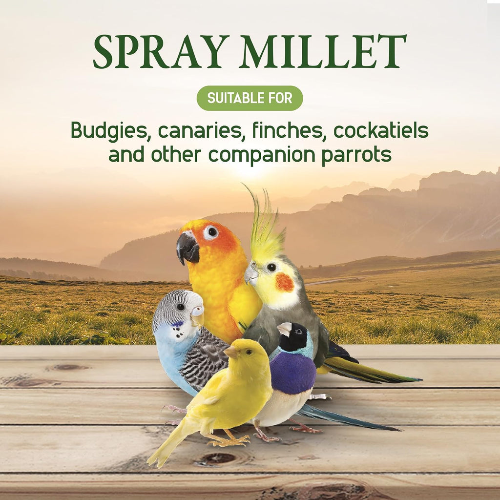 Living World Millet Spray for Birds, 17.6 Oz