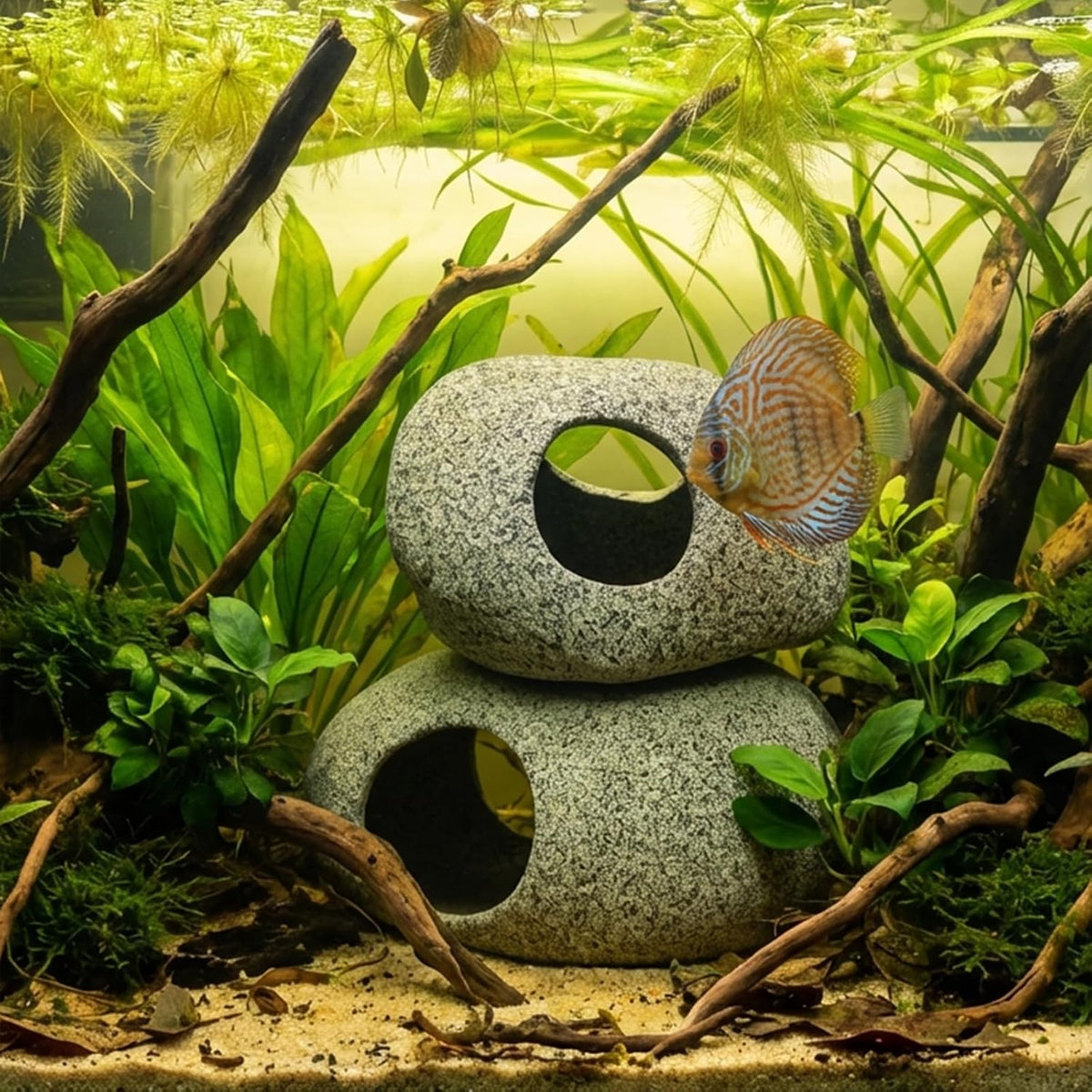 Aquarium Cave Decor - 2 PCS Natural Fish Tank Rocks for Betta Hideout and Shrimp Breeding, Hand-Polished Smooth Edges, PH Neutral, Ideal for 5-20 Gallon Tanks, Aquascaping Stone Ornaments