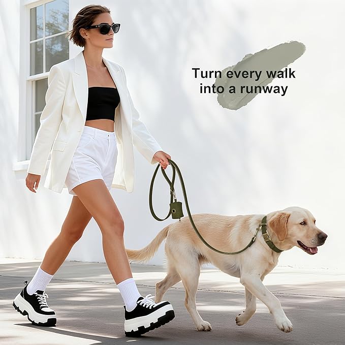 Didog Soft PU Leather Dog Collar, Stylish Quick Released Dog Collar - Image 4
