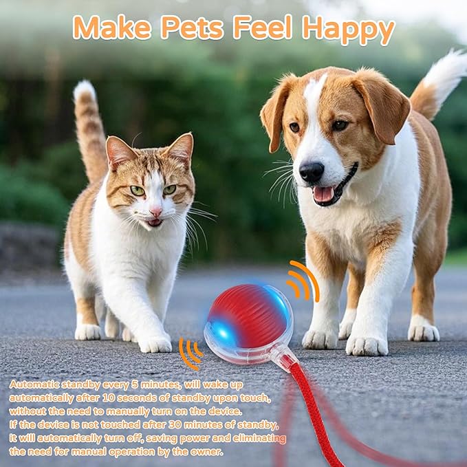 2025 New 3Pack Cat Ball Kitten Toys - Image 6