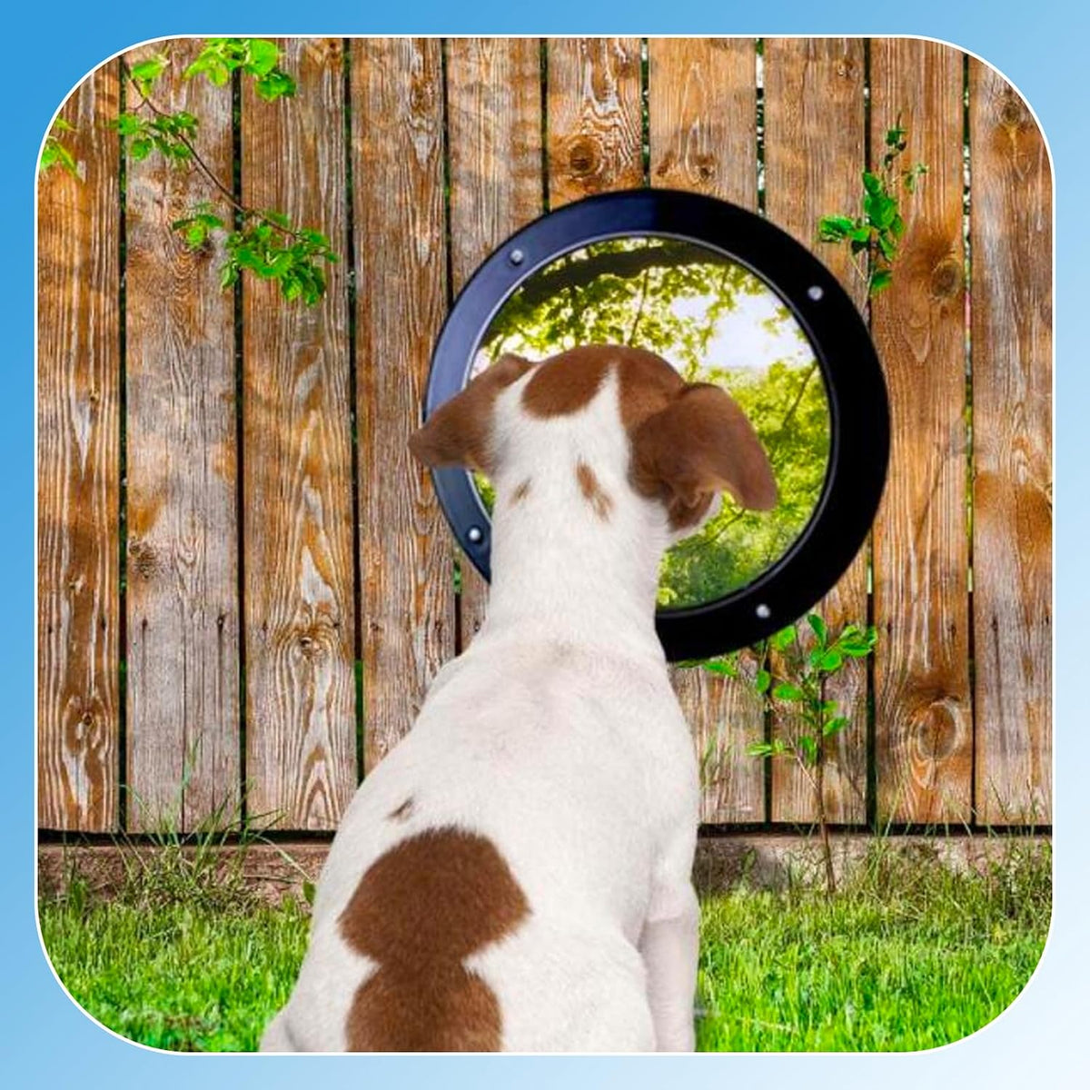 2 Pack Dog Fence Window with Air Holes Diameter 12.44" Deep 4.92"