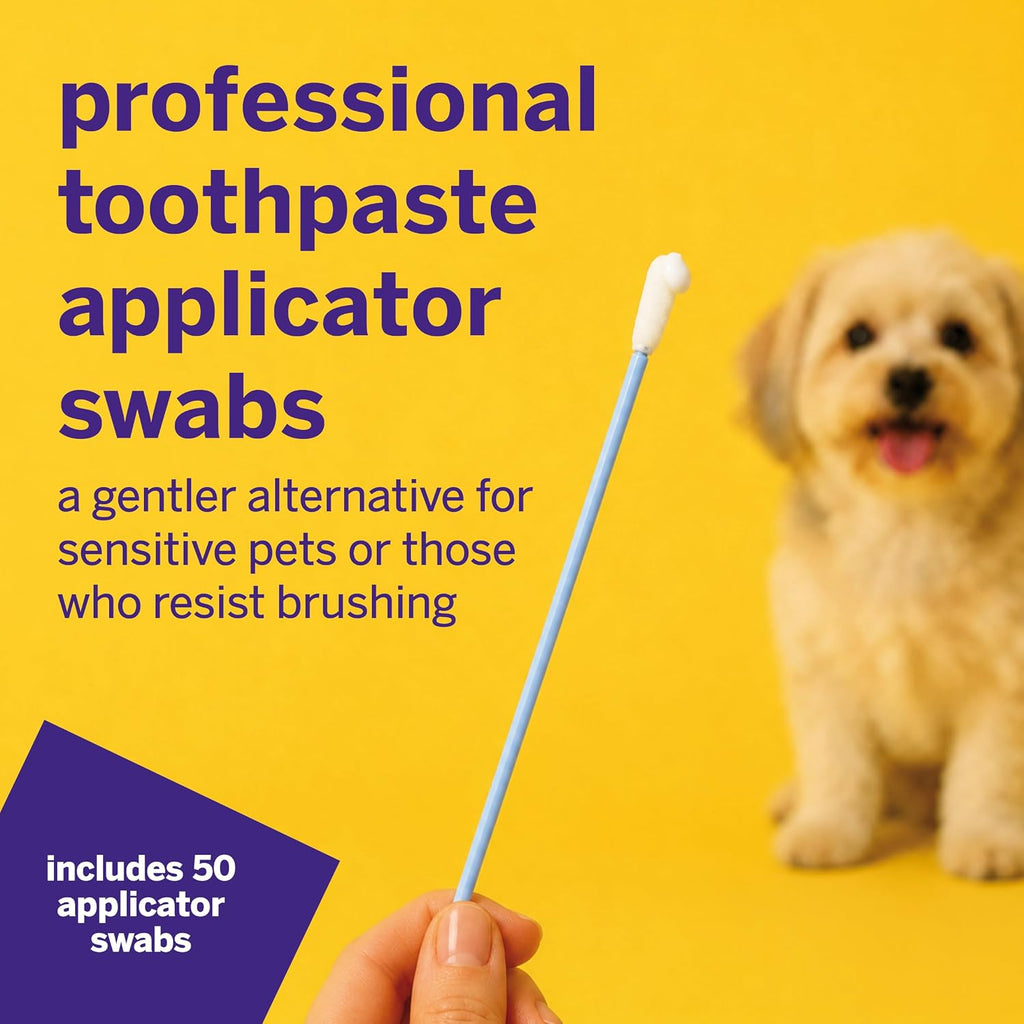 Petsmile Pet Toothpaste Applicator Swabs 50 Ct, Cat + Dog Teeth Cleaning