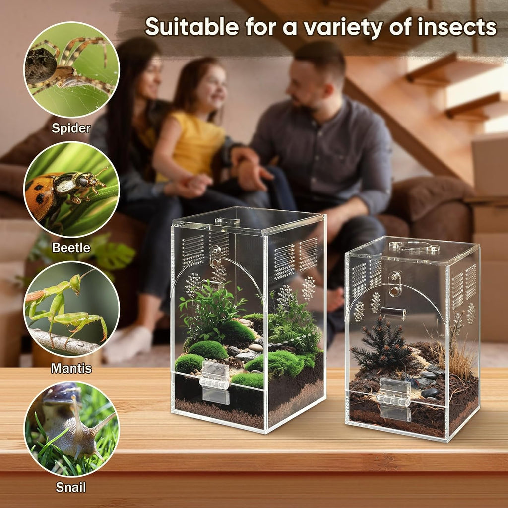 Set of 2 Jumping Spider Enclosure