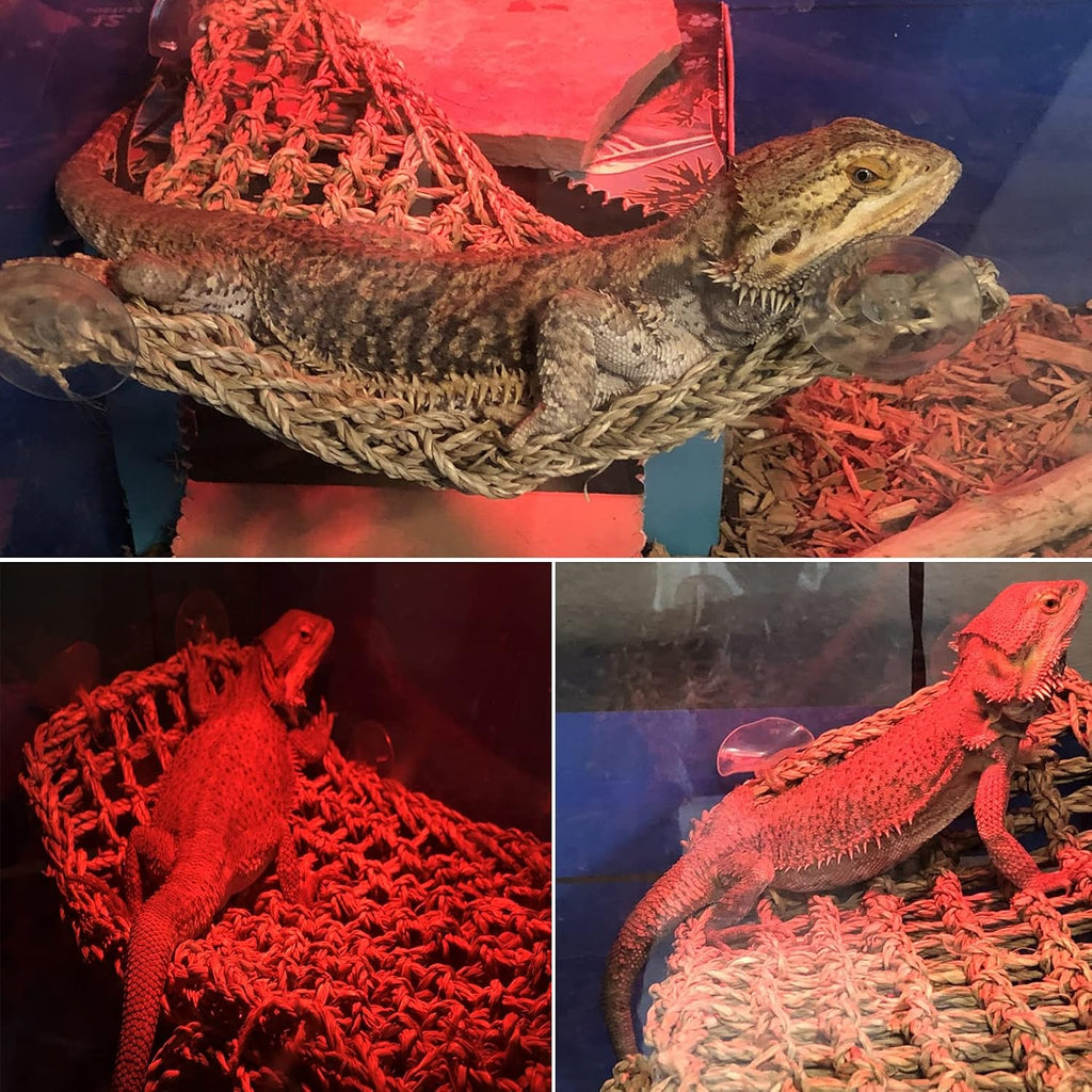 PINVNBY Hammock for Bearded Dragons,Lizard Lounger Reptile Natural Seagrass Habitat Decoration Reptiles Tank Accessories Jungle Climber Vines Flexible Leaves Climbing Decor for Gecko Chameleon(5 PCS)
