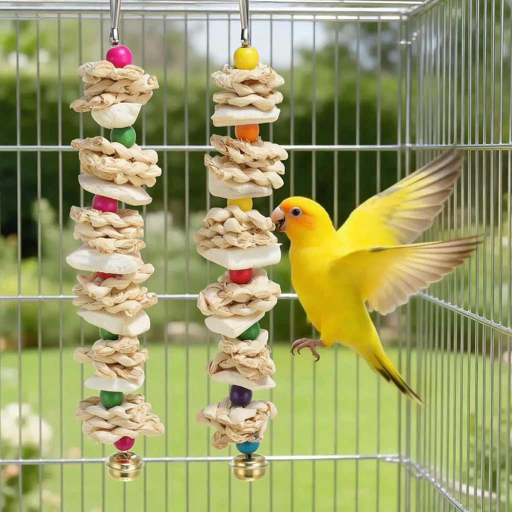 Bird Toys with Cuttlebone, Grinding Stone for Bird, 2 Pcs, B