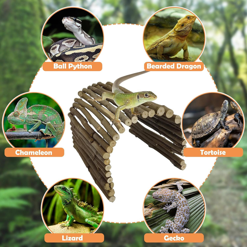 Hamiledyi Extra Large Tortoise Hide Reptile Hiding Cave Turtle Hut Gecko Hideaway Climbing Tunnel Toy Lizard Bendable Wooden Bridge for Adult Bearded Dragon Snake Chameleon Habitat Accessories