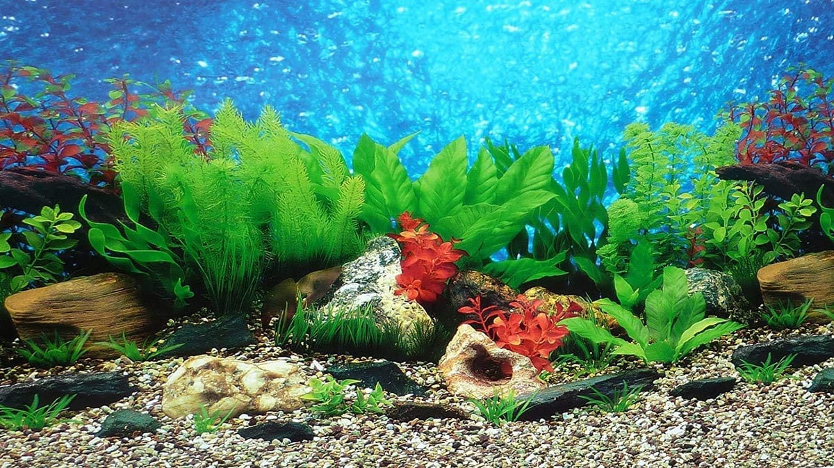 ELEBOX New 15.7" x 40" Fish Tank Background 2 Sided River Bed & Lake Background Aquarium