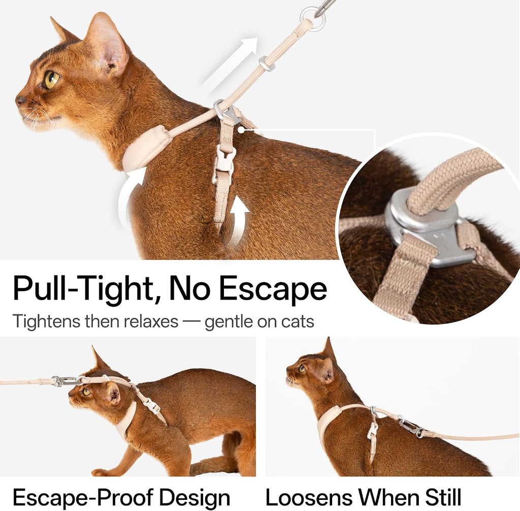 Escape Proof Cat Harness and Leash Set, Y Shape Cat Harness Adjustable Anti-Choke Soft Padded Vest Harness Hands Free Cat Rope Leash and Harness Set for Kitten Cats≤26lbs (Pink, M)