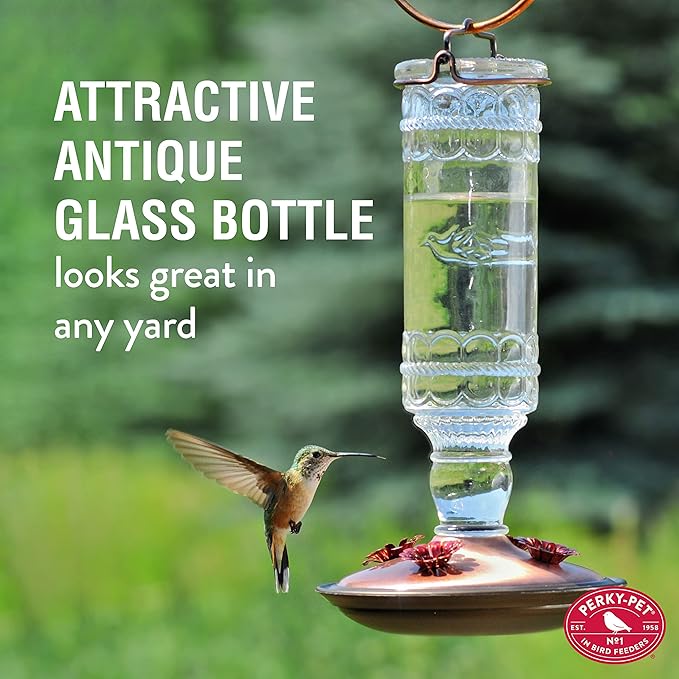 Perky-Pet Antique Glass Bottle Hummingbird Feeder - Image 3