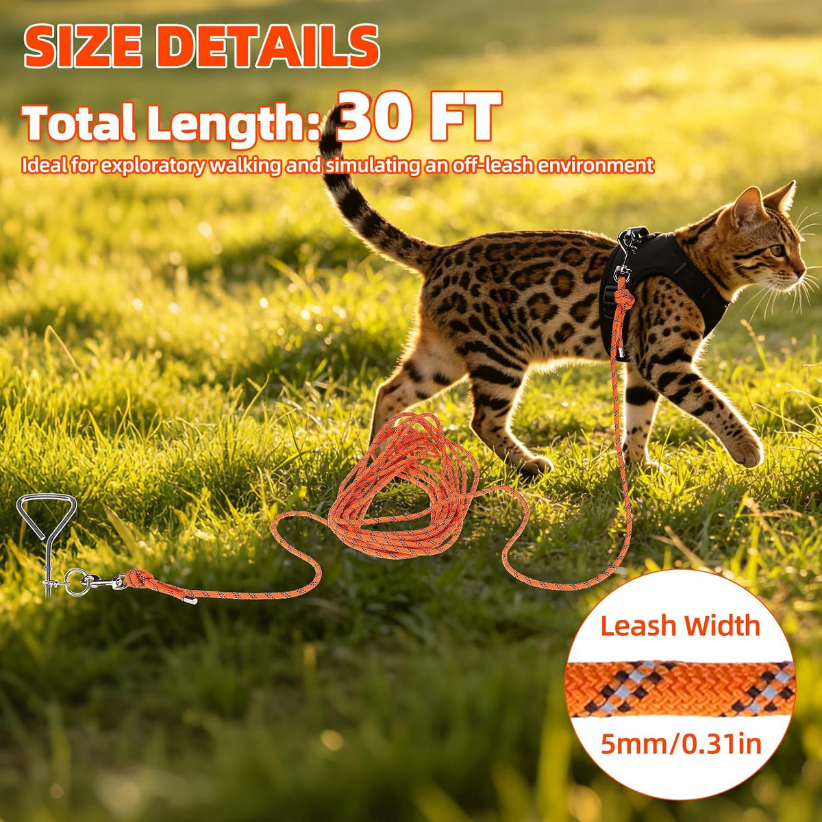 PUPTECK Reflective Long Cat Leash Pet Tie Out Spiral Stake, 30FT for Yard