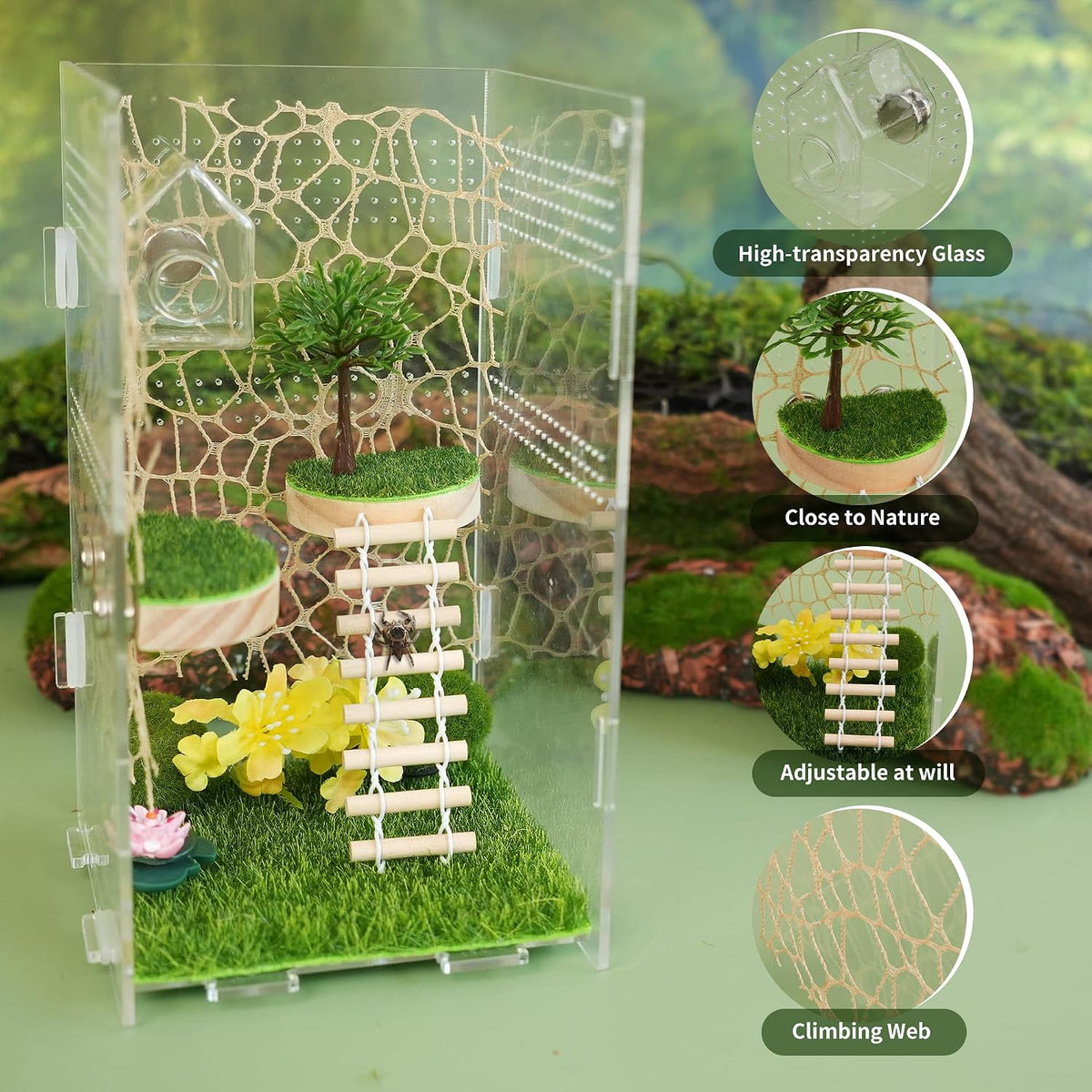 6 Pcs Jumping Spider Enclosure Accessories Kit Magnetic Glass House Jumping Spider Hide Habitat Wooden Forest Platforms Spider Climing Web Ladder for Decor Climbing & Hiding and Resting