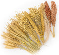 YeCheerful Hamster Sprays and Forage Accessories for Cages, Pet Mouse Decor Textures (7)
