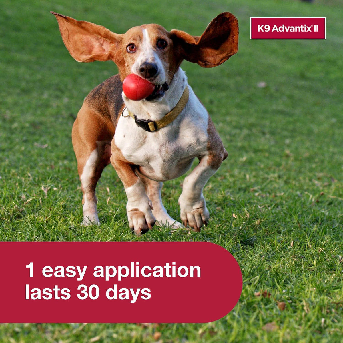 K9 Advantix II Flea & Tick Topical for Medium Dogs 11–20 lbs., 1ct
