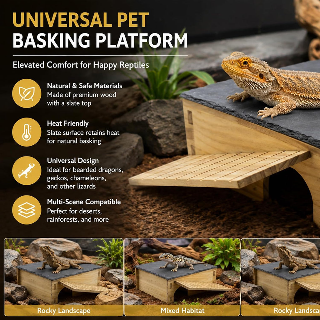 Bearded Dragon Basking Platform & Hideout, Natural Slate Rock Reptile Hide
