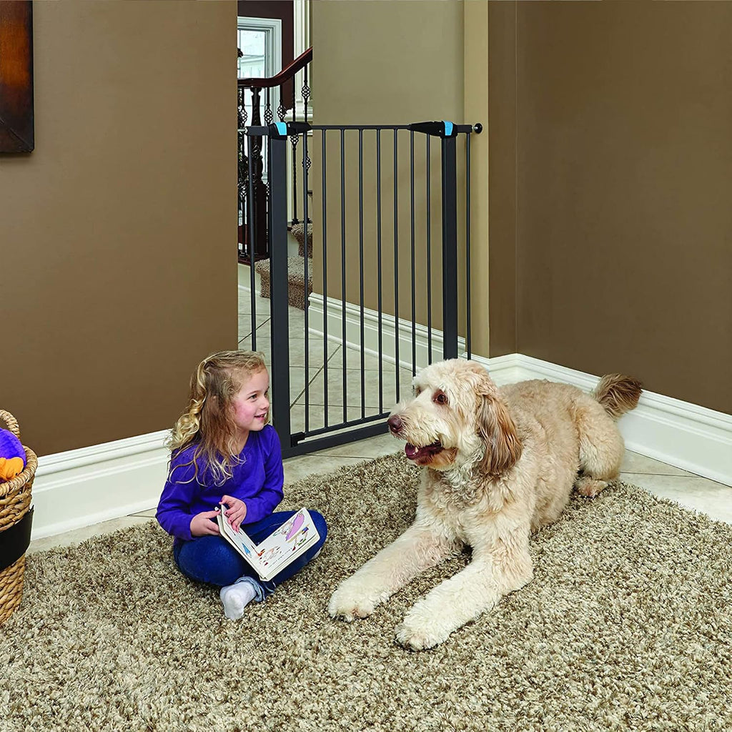 Midwest 39" Steel Dog Gate with Glow Strips, Graphite