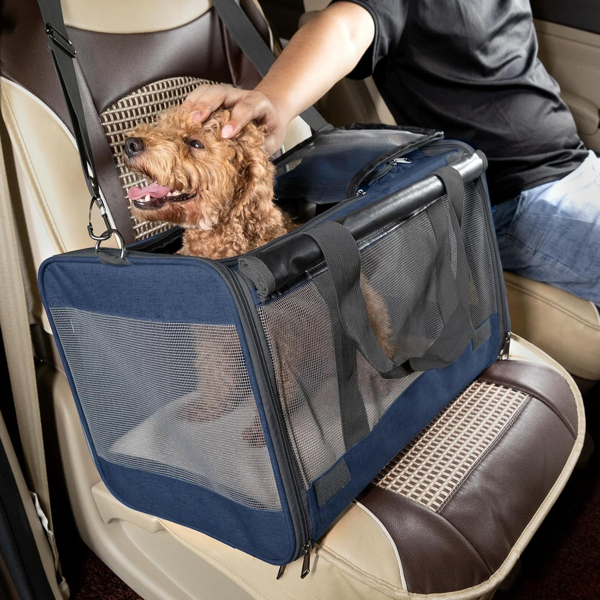 GAPZER Medium Cat Carrier Large Cat 15 lbs+ Soft Pet Car Cage Small Puppy