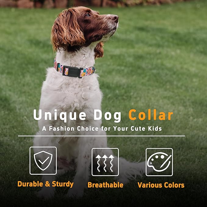 Dog Collar, Cute Cartoon Fruit Boys Girls Puppy Collar - Image 5