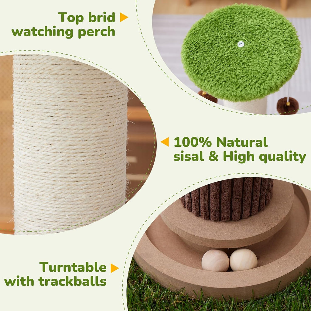 34" Tall Cat Scratching Posts,Heavy Duty and Thicker Cat Scratcher