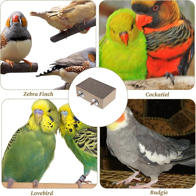 Paper Bird Perches Stand Platform Bird Chew Toy Parrot Cage Perch Cardboard - Image 5