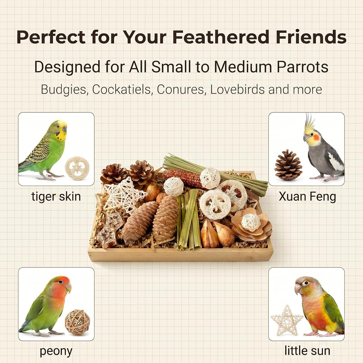 Bird Foraging Box Toy,Natural Chew for Small Medium Parrots