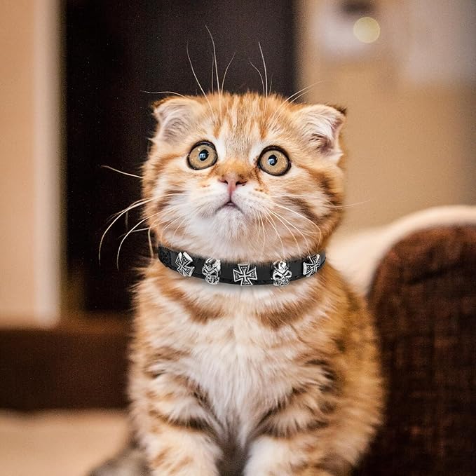 EXPAWLORER Leather Cat Collar for Girl Boy- Adjustable Pet Collar - Image 6