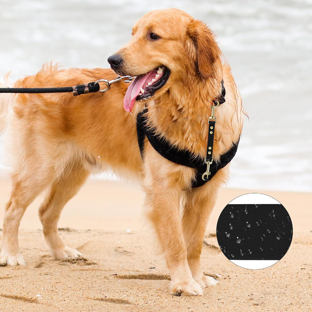 PetBonus Dog Collar Safety Clip, Waterproof Backup Safety Strap