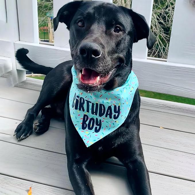 Birthday Boy Dog Bandanas 1 Pack, HBD Pet Scarves - Image 8