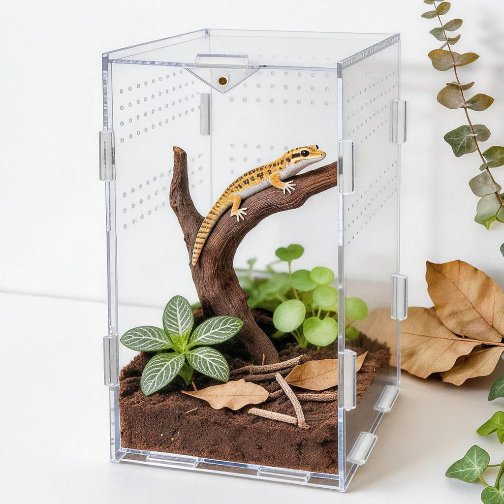 Portable Acrylic Jumping Spider Terrarium 5.9" Cube for Spider, Mantis