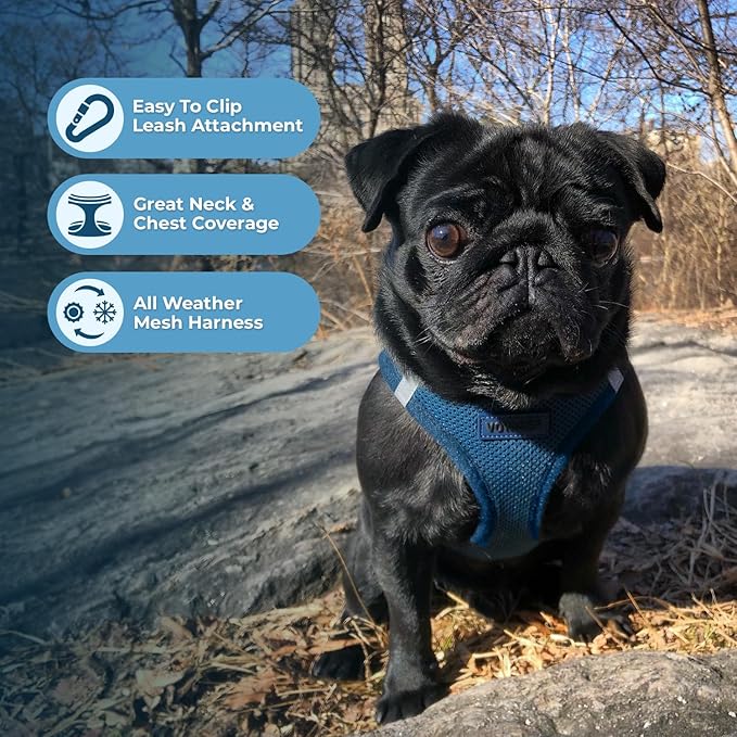 Best Pet Supplies Voyager Step-in Air All Weather Mesh Harness and Reflective - Image 6