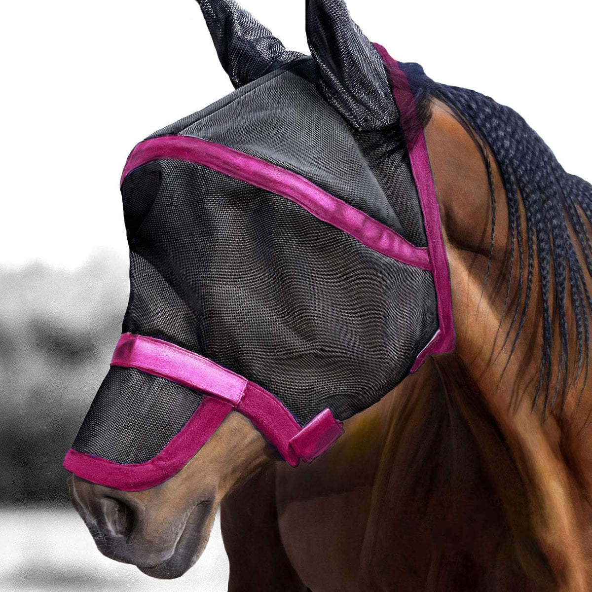 Harrison Howard Maskology Supreme Nylon Framework Micro-Woven Material UV-Proof Horse Fly Mask Black Purple (Cob)