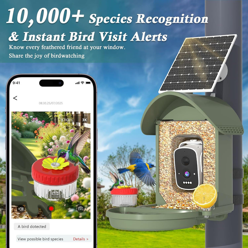3K Smart Bird Feeder with Camera, AI Bird Recognition & Instant Alerts