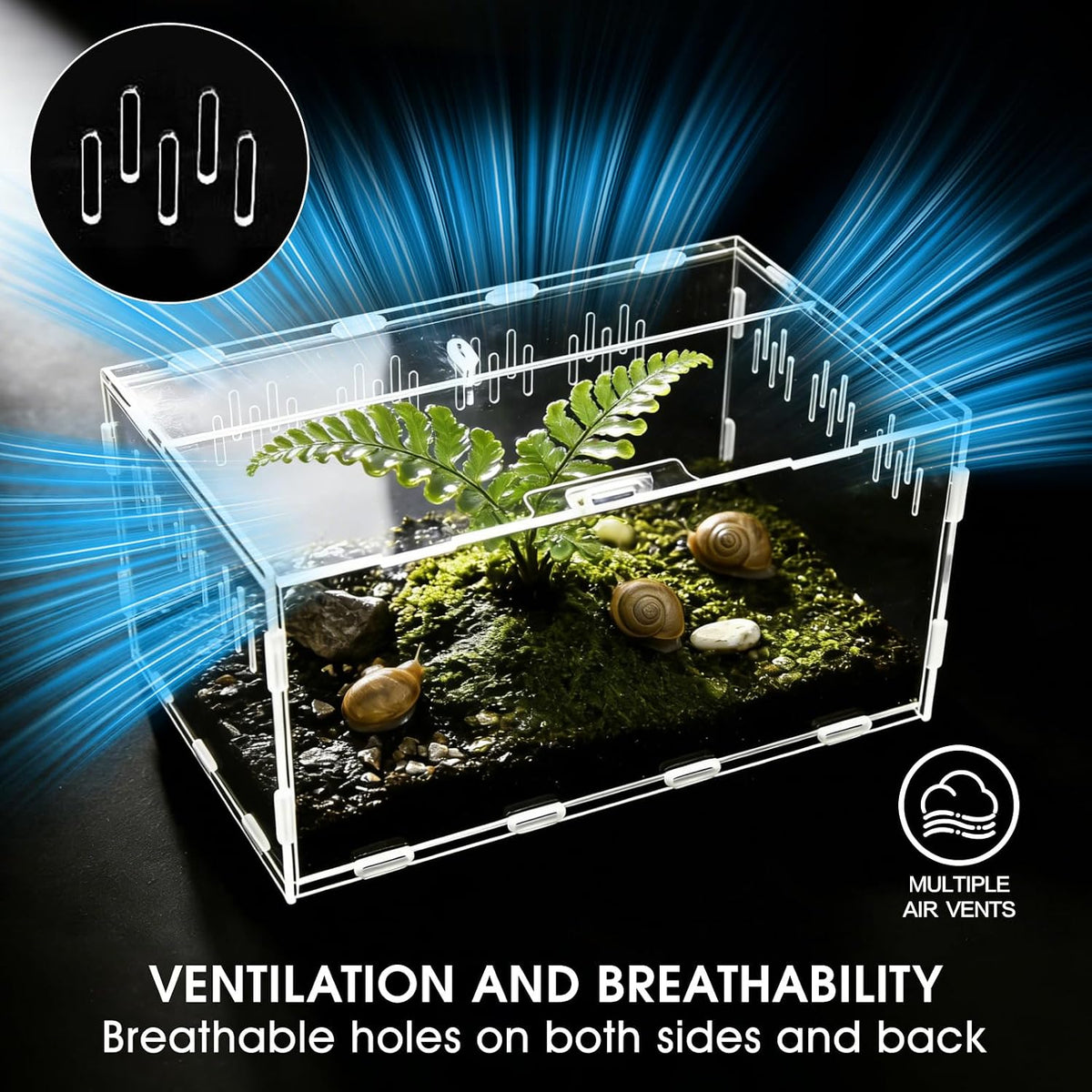 Acrylic Reptile Terrarium, Tarantula Enclosure(Tweezers & Bowl Included)
