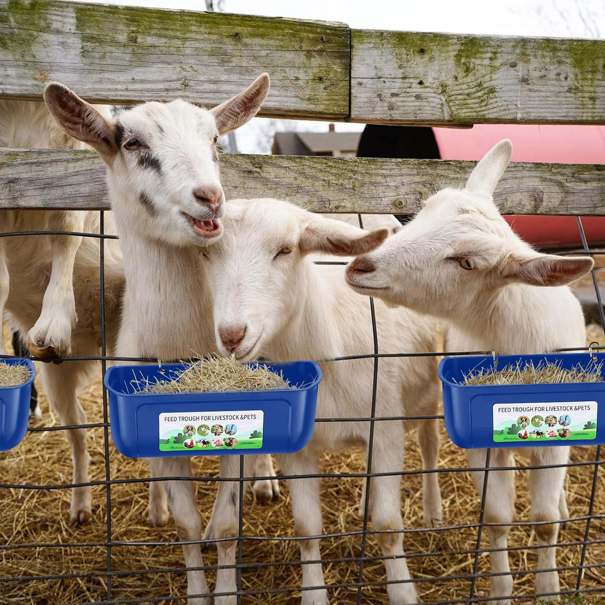 Chicken Feeder Waterer, 3 Pack Duck Feeder Supplies, Hanging Fence Feed Trough with Clips for Goat, Sheeple, Piglet, Gooses, Turkeys, Dog Livestock Poultry, Blue