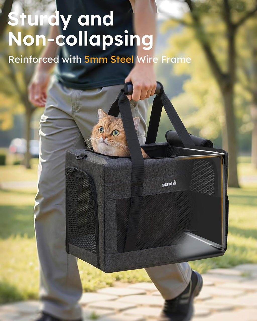 Pecute Cat Carrier, Portable Pet Carrier with Stable Structure, Dark Grey