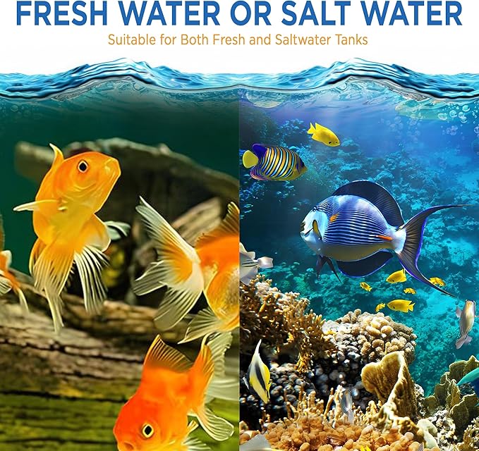 Fish Tank Rocks for Enhancing Water Clarity - Image 5