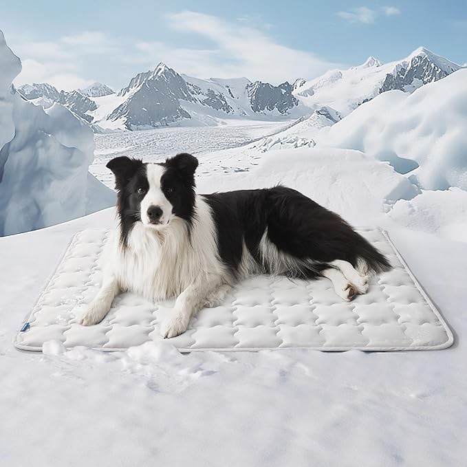 Bedsure Cooling Mat for Large Dogs – 41x28 Thin Washable Cooling Pet Pad for by BEDSURE