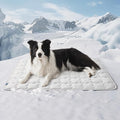 Bedsure Cooling Mat for Large Dogs – 41x28 Thin Washable Cooling Pet Pad for by BEDSURE