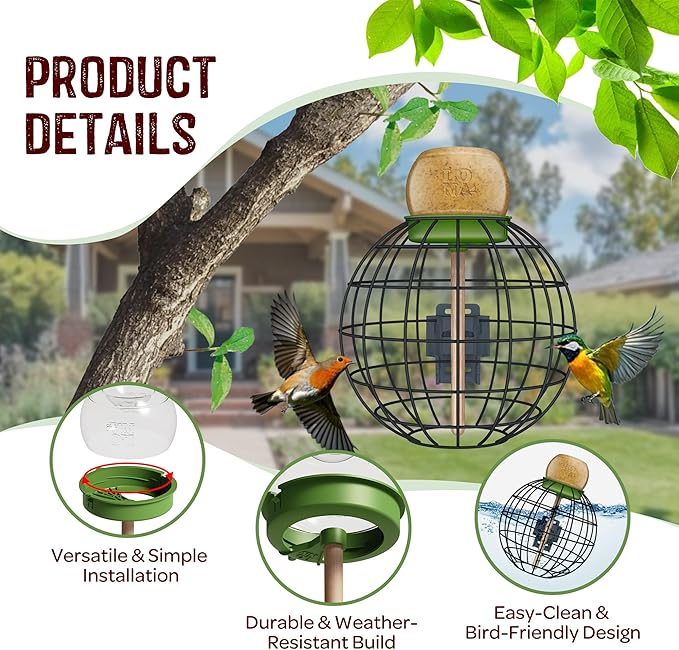 LONA Squirrel Proof Bird Feeding Cage - Image 3