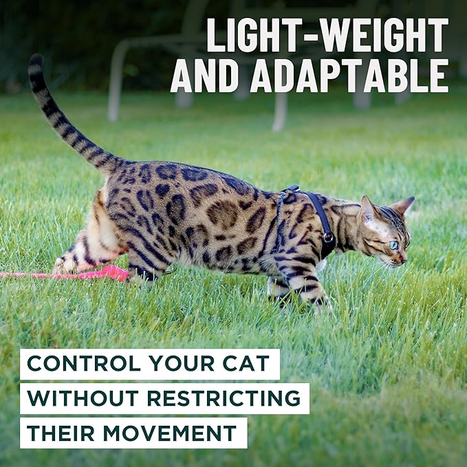 Houdini™ Escape Proof Kitten Harness and Leash Set by OutdoorBengal – Turquoise - Image 7