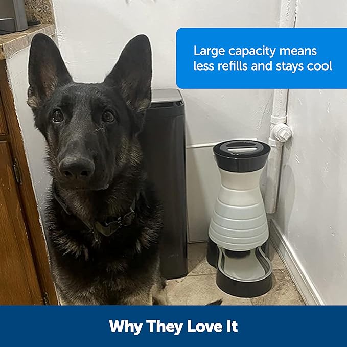 PetSafe Healthy Pet Water Station - Image 4