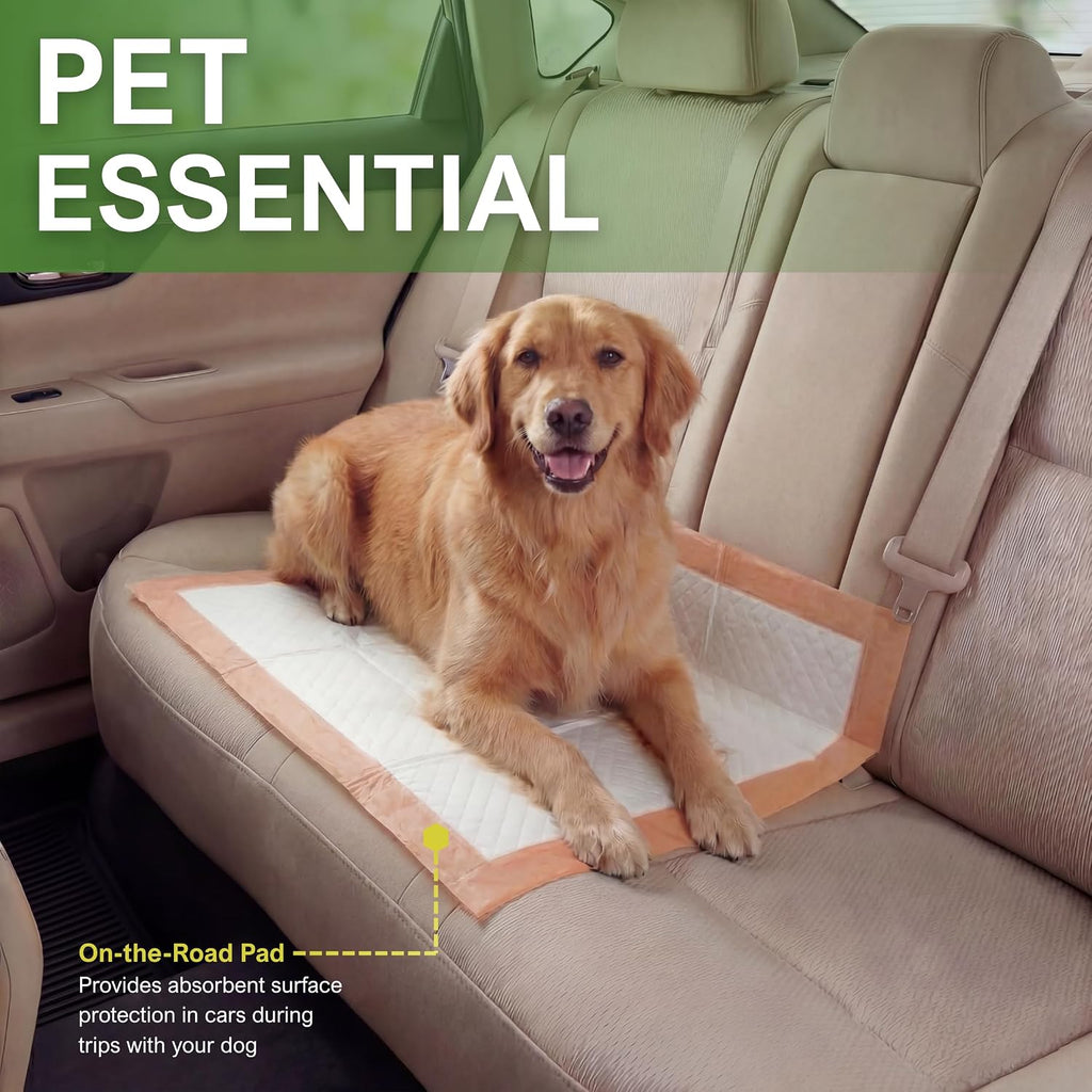 MED PRIDE Dog Training Pads 22x24 in with Attractant,6-Layer,Leakproof,100