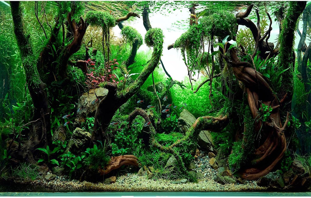 Freshwater Aquarium Background Jungle Style Aquascape Microsorum Trident Various Rotalas Anubias Fish Tank Background Aquatic Plants Frodo Stones and Redmoor Roots Terrarium Background 72x24in